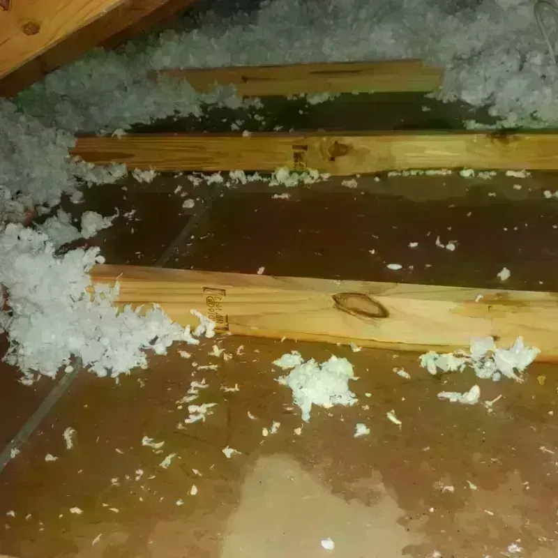 Attic Water Damage in Chester, NH